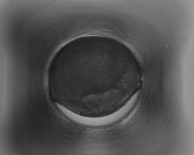 X0000094181506200711161717