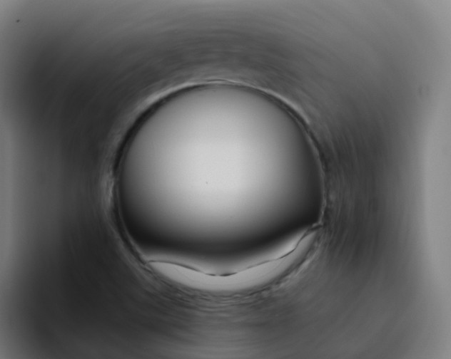 X0000094181507200711161717
