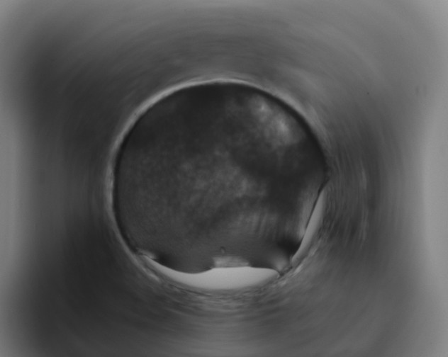 X0000094181508200711161717