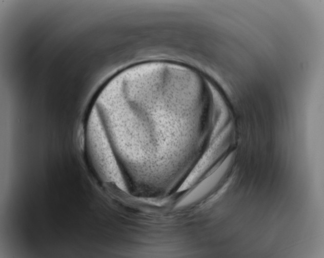 X0000094181509200711161717