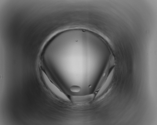 X0000094181510200711161717