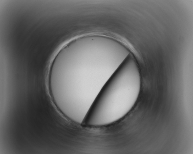 X0000094181512200711161717