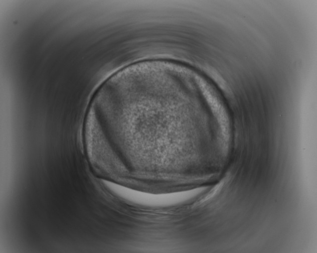 X0000094181513200711161717