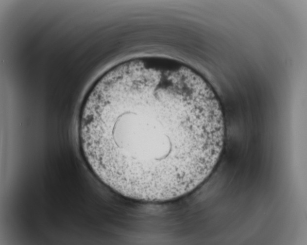 X0000094181514200711161717
