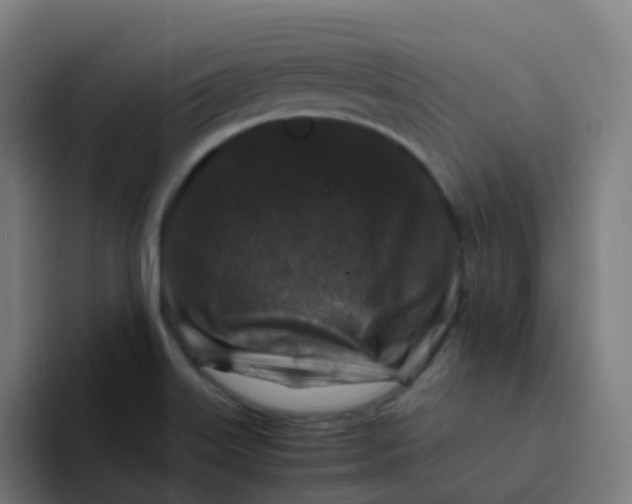 X0000094181515200711161717