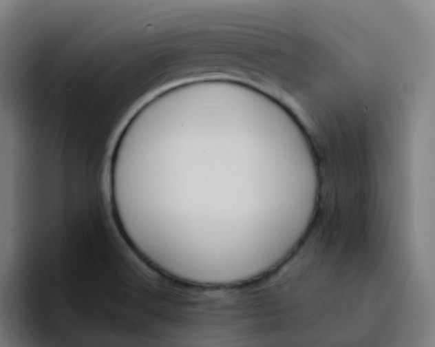 X0000094181516200711161717