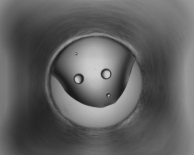 X0000094181518200711161717