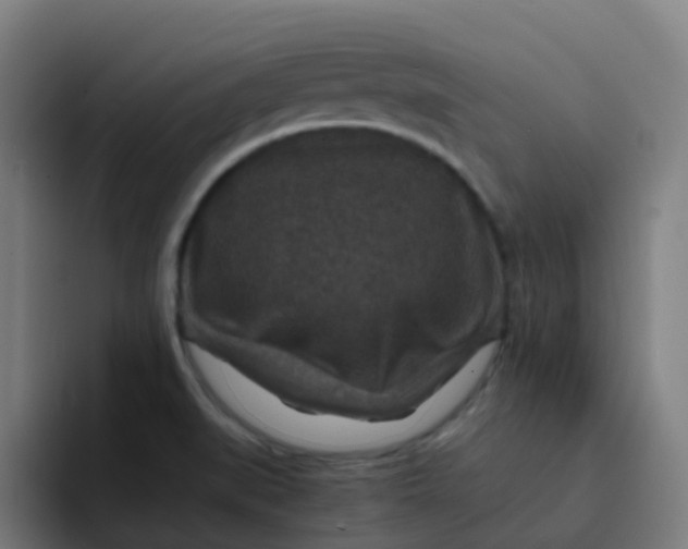 X0000094181519200711161717