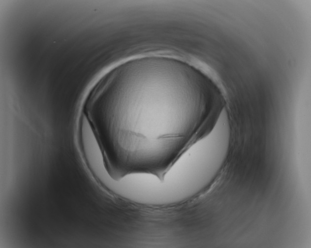 X0000094181520200711161718