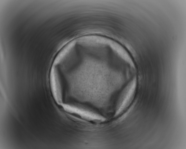 X0000094181521200711161718