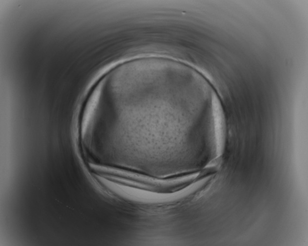 X0000094181523200711161718
