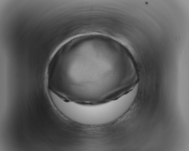 X0000094181524200711161718