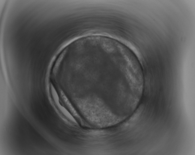 X0000094181525200711161718