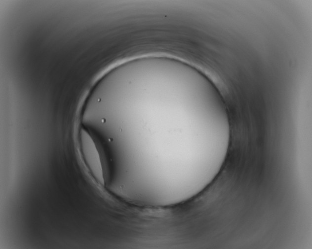 X0000094181526200711161718