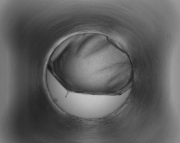 X0000094181528200711161718