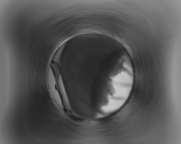 X0000094181529200711161718