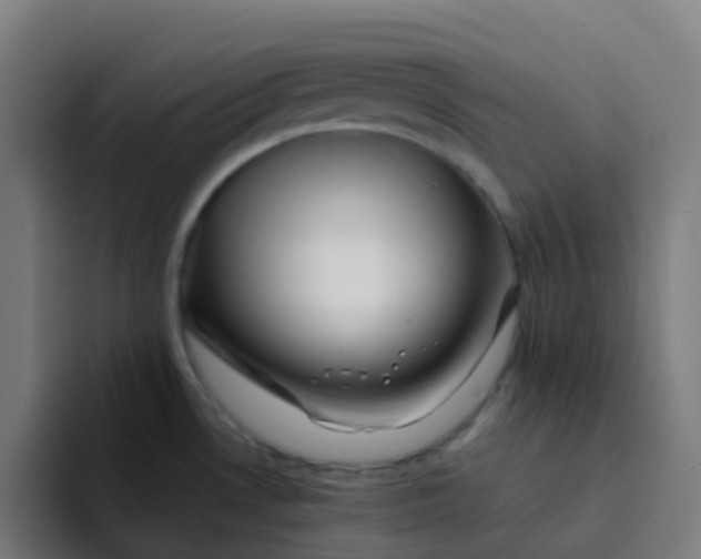 X0000094181530200711161718