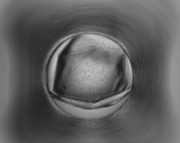 X0000094181531200711161718