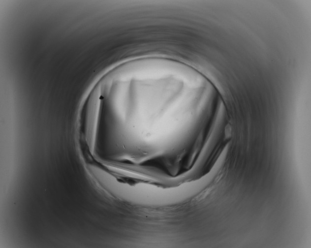 X0000094181532200711161718