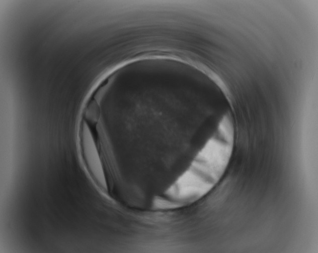 X0000094181533200711161718