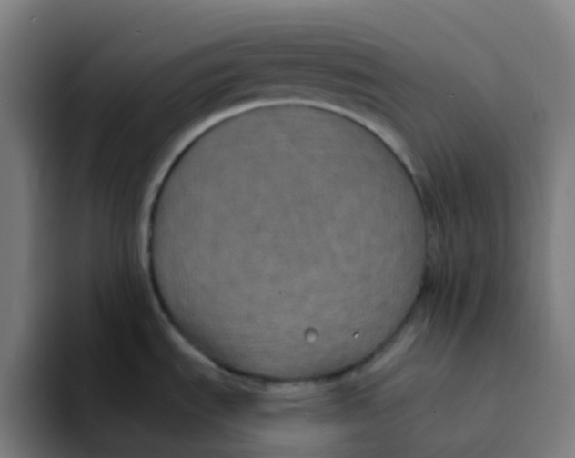 X0000094181535200711161718
