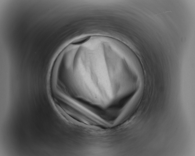 X0000094181536200711161718