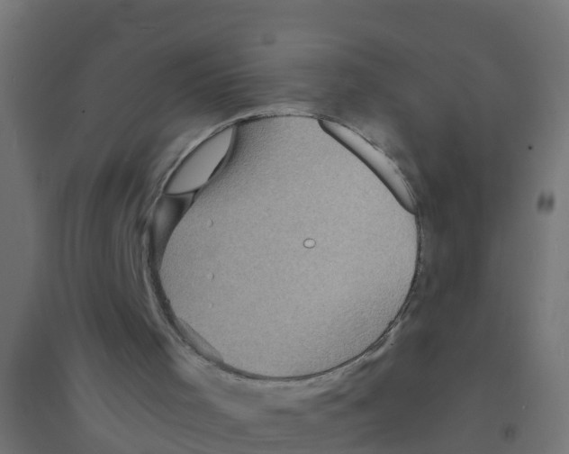 X0000094180001200711241603