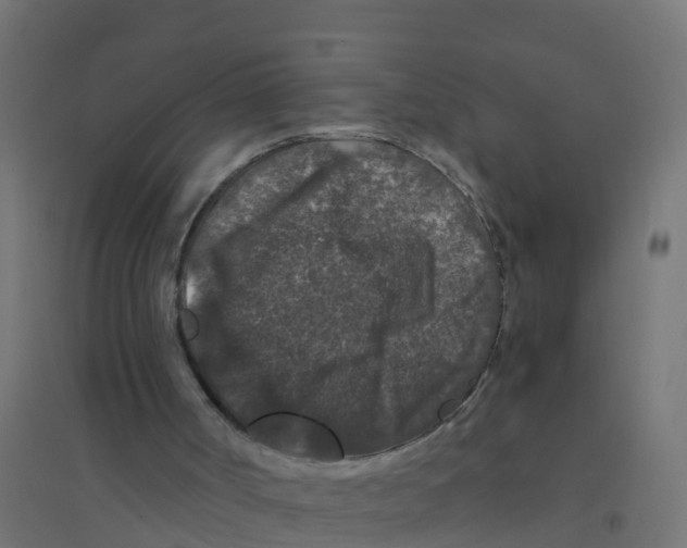 X0000094180002200711241603