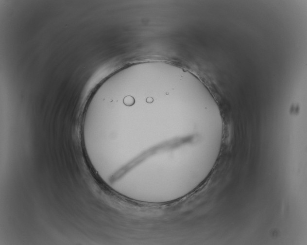 X0000094180004200711241603
