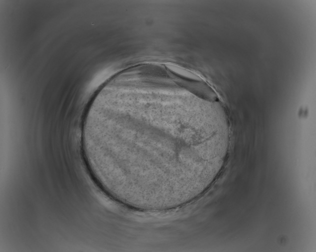 X0000094180005200711241603