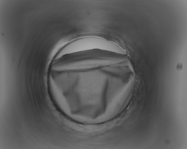 X0000094180006200711241603