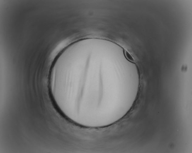 X0000094180007200711241603