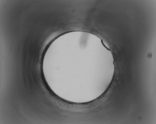 X0000094180008200711241603