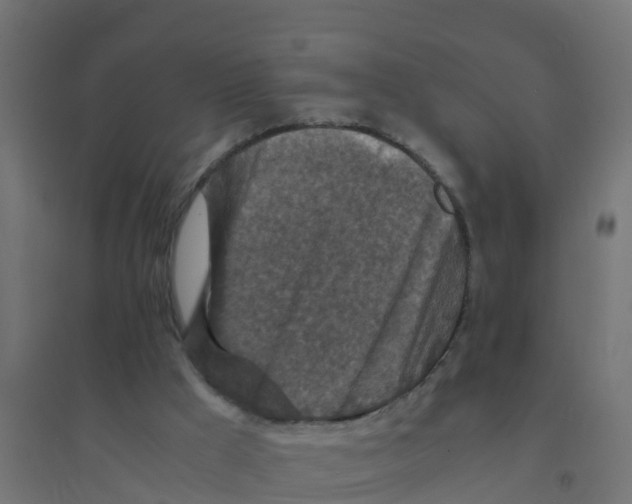 X0000094180009200711241603