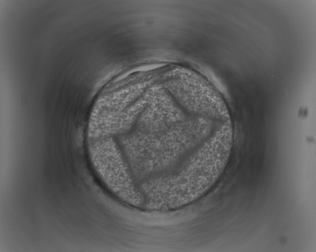X0000094180010200711241603