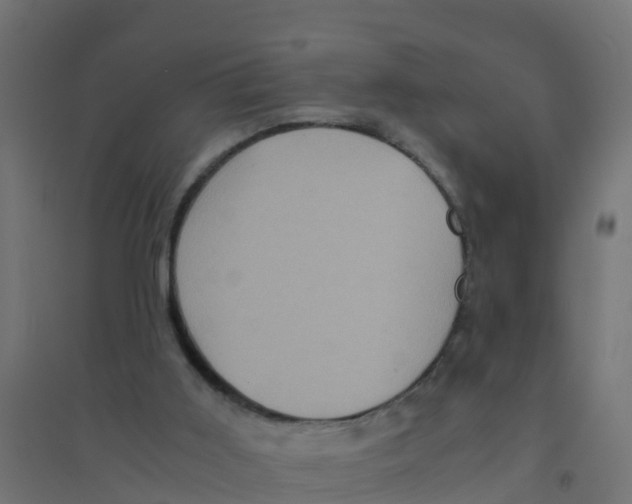 X0000094180011200711241603