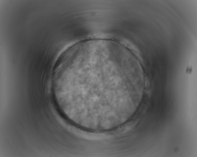 X0000094180012200711241603