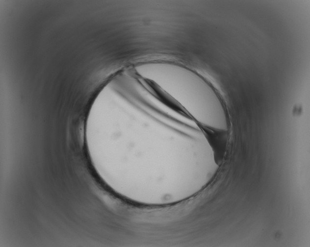 X0000094180013200711241603