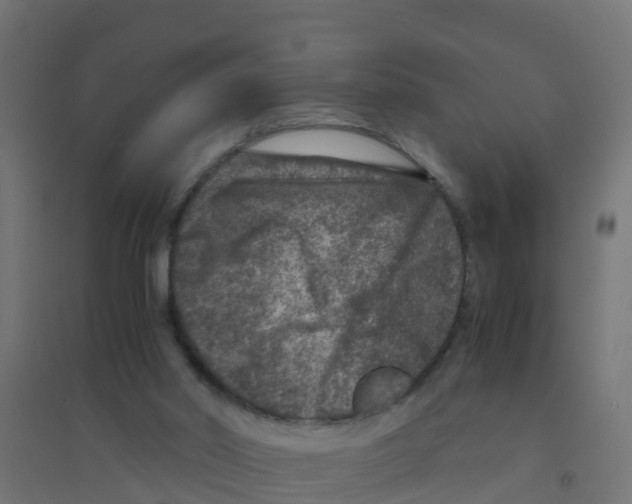 X0000094180014200711241603