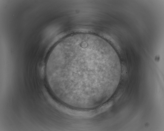 X0000094180016200711241603