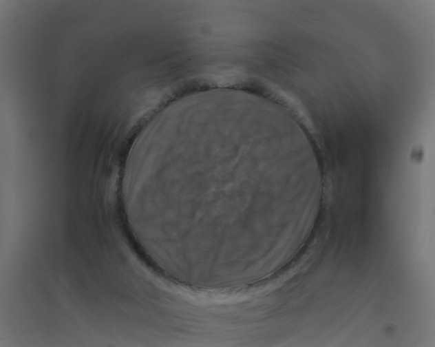 X0000094180018200711241603