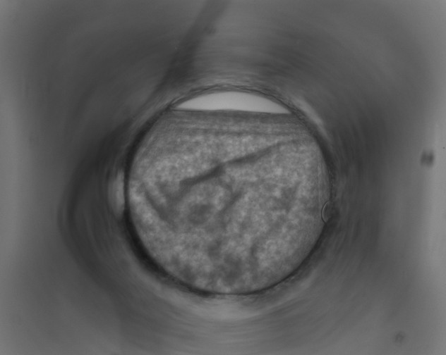X0000094180020200711241603