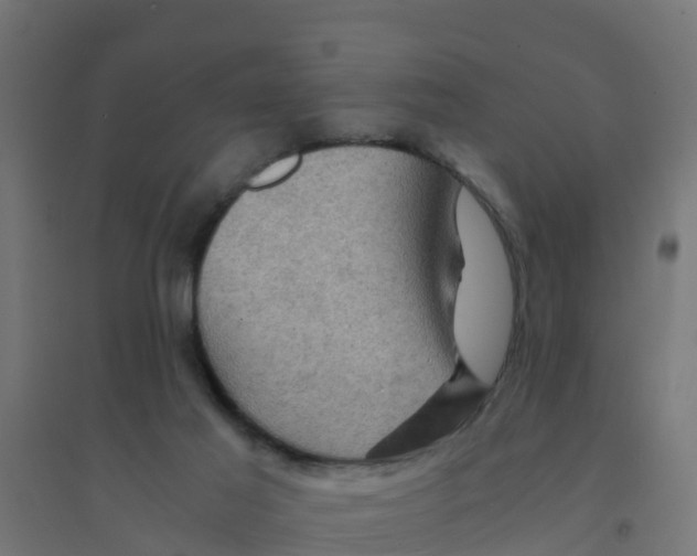X0000094180021200711241603