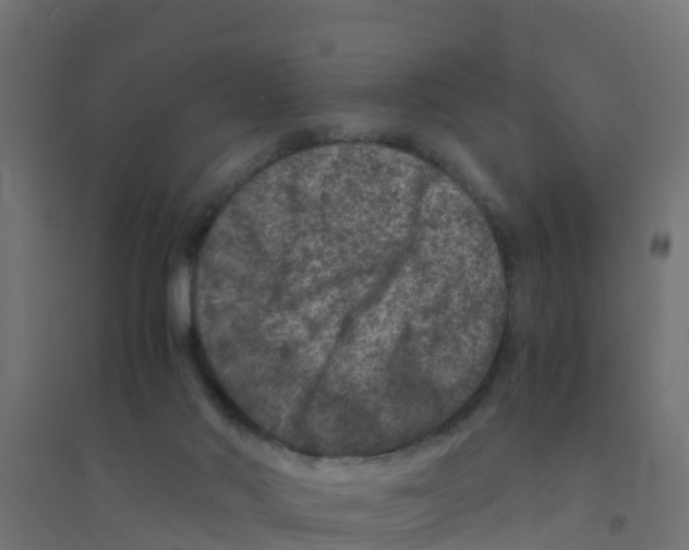 X0000094180022200711241603