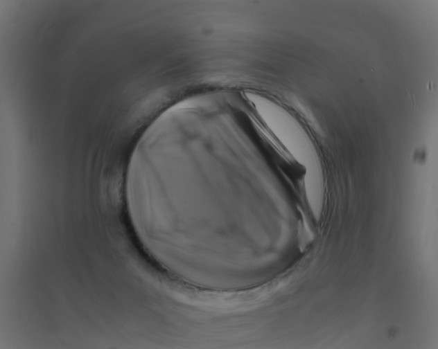X0000094180023200711241603
