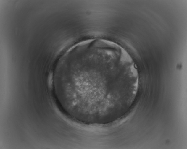 X0000094180024200711241603