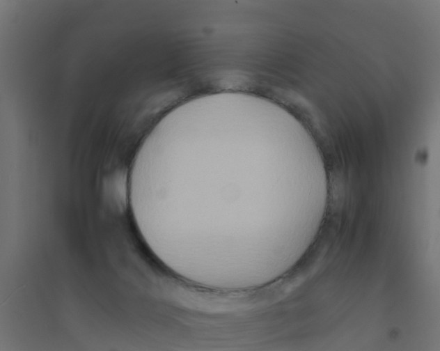 X0000094180028200711241603