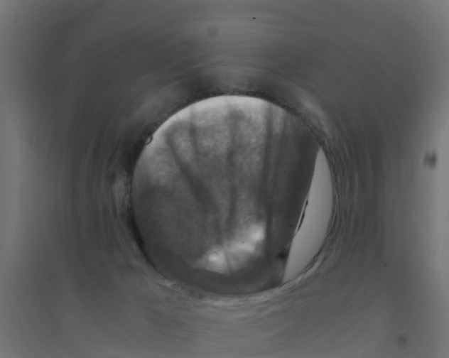 X0000094180029200711241603