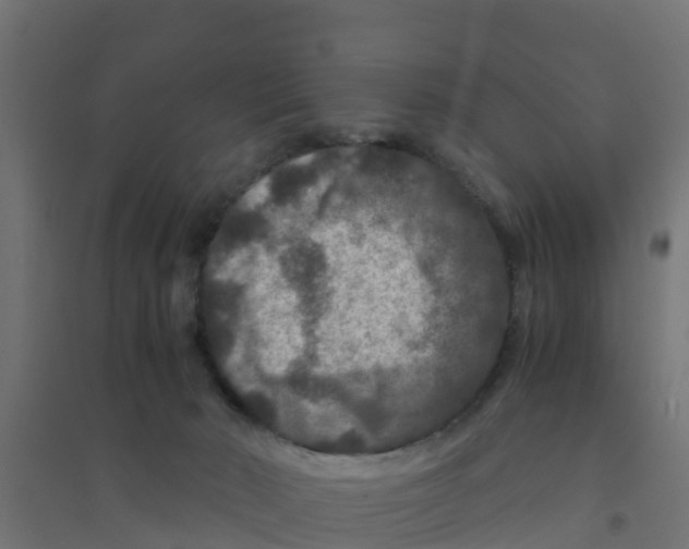 X0000094180030200711241603