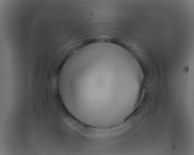 X0000094180037200711241603